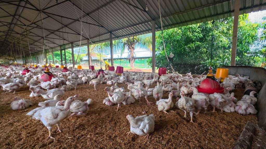 LEO GROUPS - LEADING POULTRY SOLUTION PROVIDER IN SRI LANKA 12