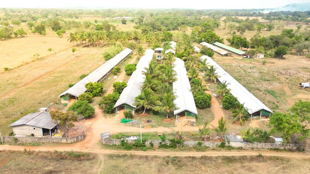 LEO GROUPS - LEADING POULTRY SOLUTION PROVIDER IN SRI LANKA 8