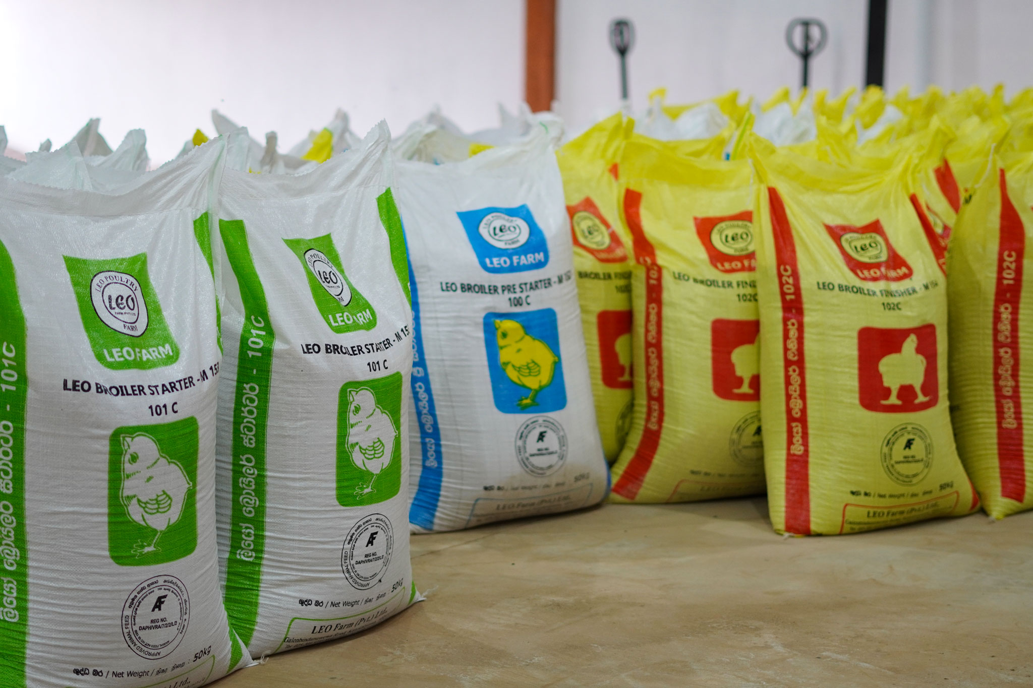 LEO PREMIUM CHICKEN FEED IN SRI LANKA